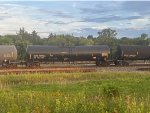 CBTX 739526